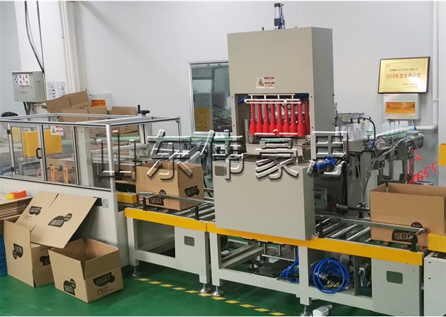 自動(dòng)開箱、裝箱、封箱、碼垛生產(chǎn)線